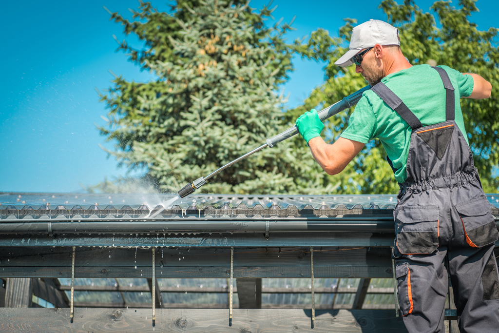 Roof Cleaning in Miam